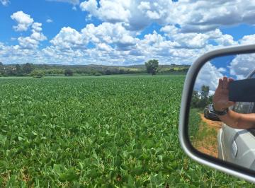 Rural · 6851883m² · 2 Quartos · 6 Vagas · Fazenda 140 Alqueires para Venda em Alexânia - Goiás