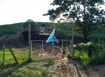 4f46yozno7ks1773193296118.jpg · Fazenda com 1 dormitório à venda, 643720 m² por R$ 2.800.000,00 - Tumiritinga - Tumiritinga/MG
