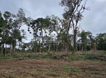 Terreno · 17108m² · 1 Quarto · 1 Vaga · Terreno rural à venda em Tijucas do Sul
