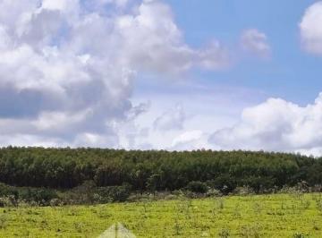 Rural , Curvelo · Fazenda 1.200 hectares localizada em Curvelo/MG