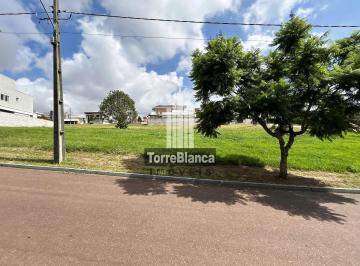 4381773668148199.jpg · Condomínio Fontana di Trevi: lotes exclusivos no Jardim Carvalho, 431 m² - Quadra 11.