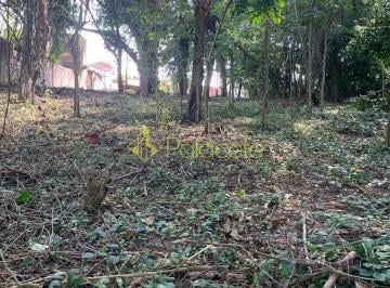 whatsapp-image-2026-04-13-at-14-39-26-21776103188071.jpeg · Terreno-Área à venda, Bela Vista, Pindamonhangaba, SP