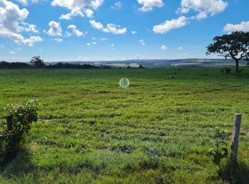 Rural · 2000m² · Fazenda à venda em Caiapônia/GO