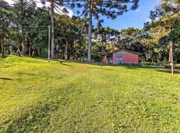 oc8dte2owy0ytu5nze2zdfm_md · Chácara c/ 54.160 m², casa, açude e nascentes em São José dos Pinhais