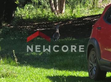 Rural en Venda de 3 quartos Ravena · Sítio em  Estrada dos Pintos - Ravena - Sabará/MG