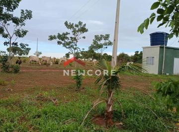 Rural de 3 quartos, Uberlândia · Fazenda em Área Rural - Área Rural de Uberlândia - Uberlândia/MG