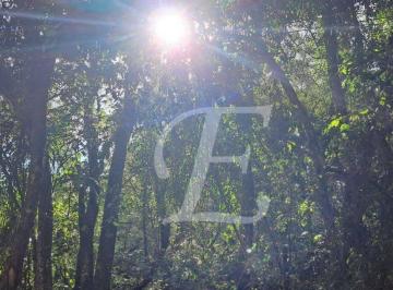 59ebf9753340fb1ffd53a2e6ad87c62ee1cb1d81 · Terreno à venda, 1200 m² por R$ 290.000 -Condomínio  Alpes da Cantareira Serra da Cantareira - Mairi