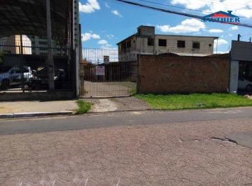8523_188650.jpg · Terreno Tamandaré Esteio