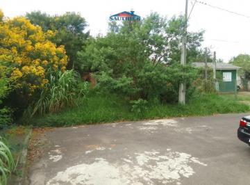 9727_238205.jpg · Terreno Tamandaré Esteio
