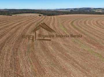 Rural , Avaré · Fazenda a venda com 53 alqueires na região de Avaré-SP