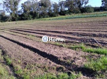 Terreno · 47428600m² · Terreno à venda - no Lageado