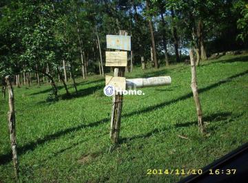 Terreno · 4200m² · Terreno para Venda - 0m², 0 dormitórios, Lomba do Pinheiro