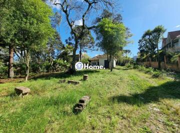 Terreno · 4452m² · Terreno para Venda - 4.452m Bairro Jardim Isabel