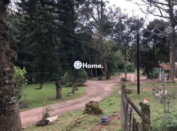 Rural · 70ha · 1 Quarto · 1 Vaga · Sítio Rural de 121.672,00 M² no Bairro Belém Velho Poa-RS