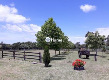 Rural · 4m² · 3 Quartos · 9 Vagas · Sítio para Venda - 40685m², 0 dormitórios, Lami