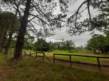 Rural · 120217m² · Sítio para Venda - 120217m², 0 dormitórios, Campo Novo
