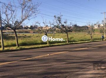 Terreno · 4704m² · Amplo terreno com 4.704m²