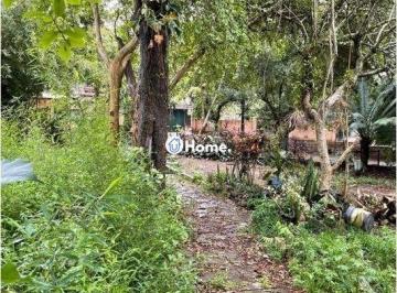 Terreno · 2378m² · Terreno à venda - em Tristeza
