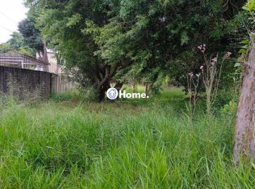 Terreno · 368m² · Terreno para Venda - 0m², 0 dormitórios, Tristeza