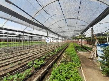 Terreno · 6629m² · SÍTIO DENTRO DE PORTO ALEGRE 6.629,10 metros quadrados de área no bairro Campo N