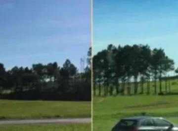 Terreno , Sorocaba · Terreno para venda e locação na Rodovia Castelo Branco km 91, em Sorocaba - SP
