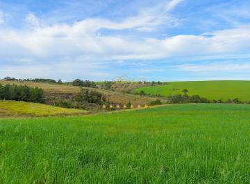 greenville-imoveis-fazenda-vr-00032_1530481289_optimized1774394949704.jpg · Lapa, ARRENDAMENTO, Fazenda 115 Alqueires Plantio Batatas,Soja ou Milho, Zona Rural, PR
