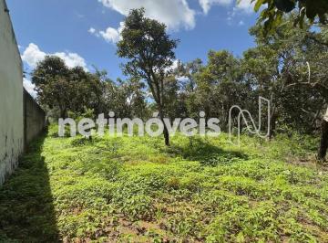 04cee2c3-d7f5-45c9-b55e-be0ab2e82df4.webp · LOTE VAZIO - CONDOMÍNIO CHAPÉU DE PEDRA - JARDIM BOTÂNICO (TORORÓ)