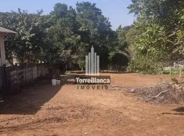 011776256592775.jpg · Imoveis - em Uvaranas