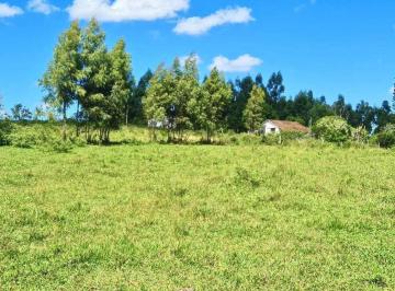 Imagem 1 · Fazenda