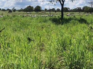 Rural · 1844ha · 1 Quarto · FAZENDA com 1.844 hectares em Santa Fé de Minas-MG, pra agropecuária, com represa e córrego, 1100 he