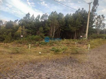25164730_4.jpg · TERRENO NO DESVIO RIZZO COM 360m²