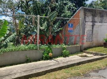 ddba654d5fc8bfc23045d8db19e4d18a.jpg · Terreno