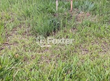 edited-image-1776302942696.jpg · Terreno, 430 m², em Rincão dos Ilhéus