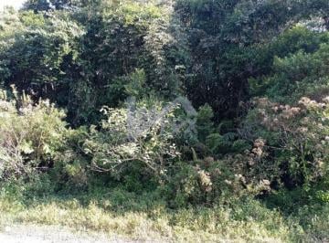 20230615110135882.jpg · Chácara para Venda em Itanhaém, Jardim São Fernando