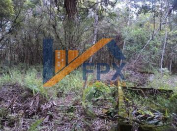 20230120102203442.jpg · Chácara para Venda em Itanhaém, Balneário Gaivota