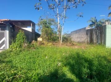 202507261322013600.jpg · Terreno para Venda em Itanhaém, São Pedro