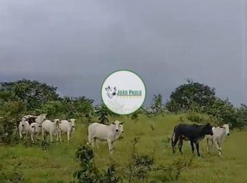 Rural , Padre Bernardo · Fazenda a venda em Padre Bernardo - 1.234 Hectares - Lavoura e pecuária