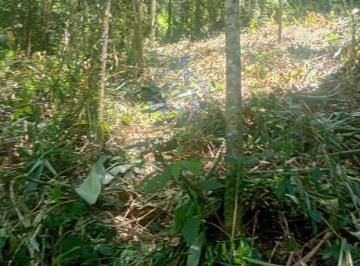 Foto 01 · TERRENO À VENDA NO CAMARÃO EM ILHABELA-SP