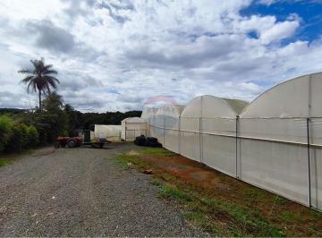 Rural · 26000m² · SITIO COM SEIS ESTUFA