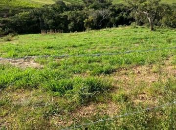 Foto 03 · PROPRIEDADE RURAL 23,5 HECTARES COM CASA E EXCELENTE LOCALIZAÇÃO EM MG