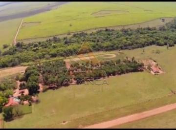 Imagem 1 · Fazenda