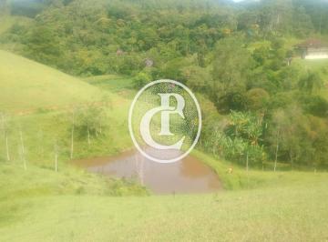 Imagem 1 · Sítio para venda em Área Rural de Paraibuna, Paraibuna