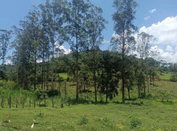 Terreno , Moeda · Terreno em Moeda de 5 mil m² com topografia plana