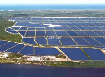 1691068525projeto1776356975240.jpg · Mega fazenda de camarão na Bahia com 150 viveiros