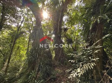 Rural 11000m² Venda Centro · Chácara em Três Coroas - Centro - Três Coroas/RS