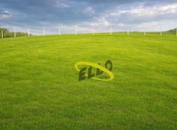 6f8701531fcb0a43da444c752db95febc997b08c · Terreno à venda, 125 m² por R$ 160.000,00 - Chácara Roselândia - Cotia/SP