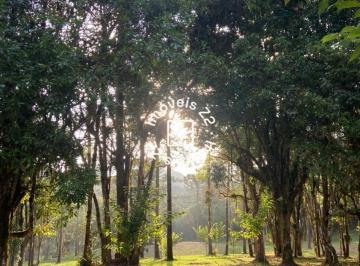 Foto 01 · Terreno, São Miguel, Campo Alegre, SC