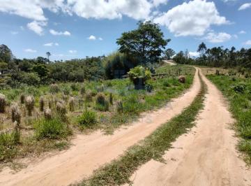 202511041602573603.jpg · Sítio para Venda em Mogi das Cruzes, Vila Moraes