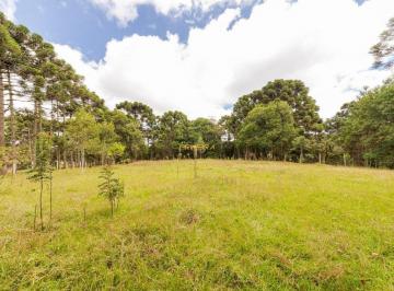 Terreno · 29788m² · Terreno à venda - em Roseira