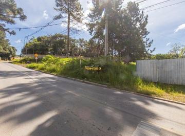 Terreno · 4250m² · Terreno à venda - em São Miguel